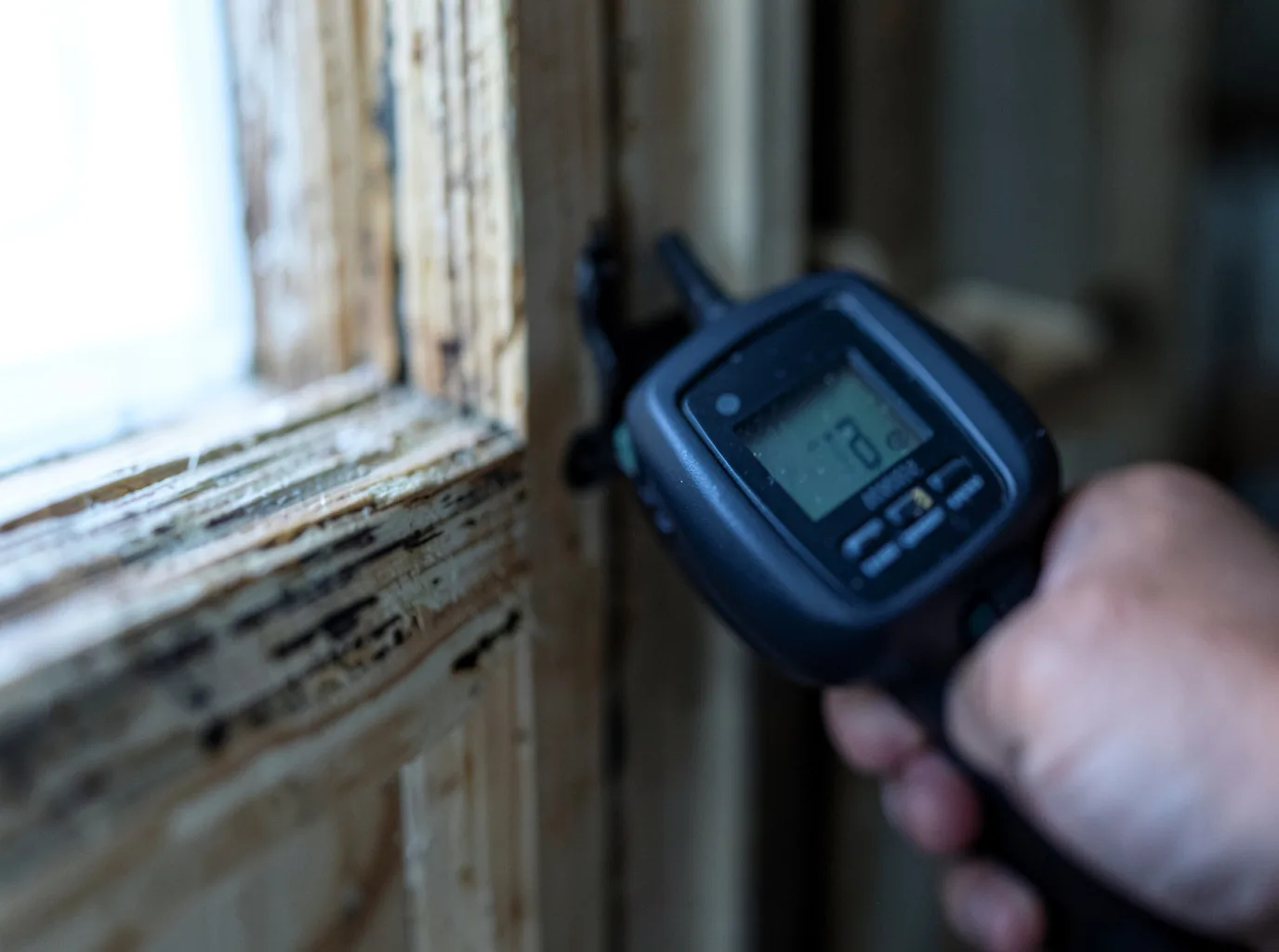 Moisture Inspection And Documentation in Splendora, TX